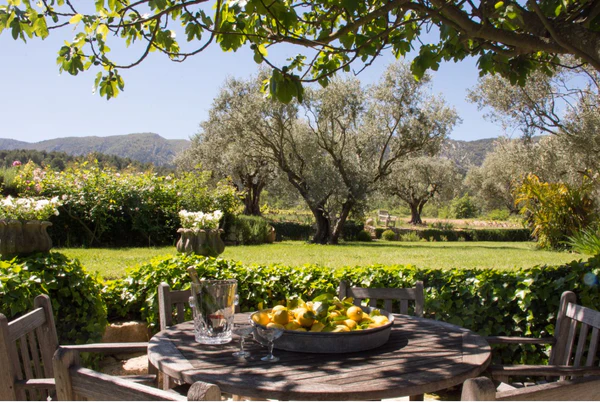 Ogród francuski – jak wygląda i jak go zaplanować? olive